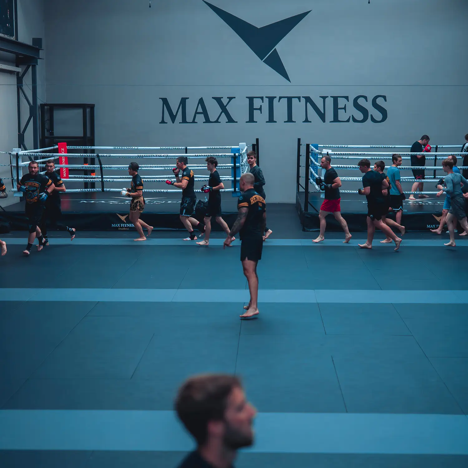 Společný trénink MMA v hale Max Fitness Plzeň