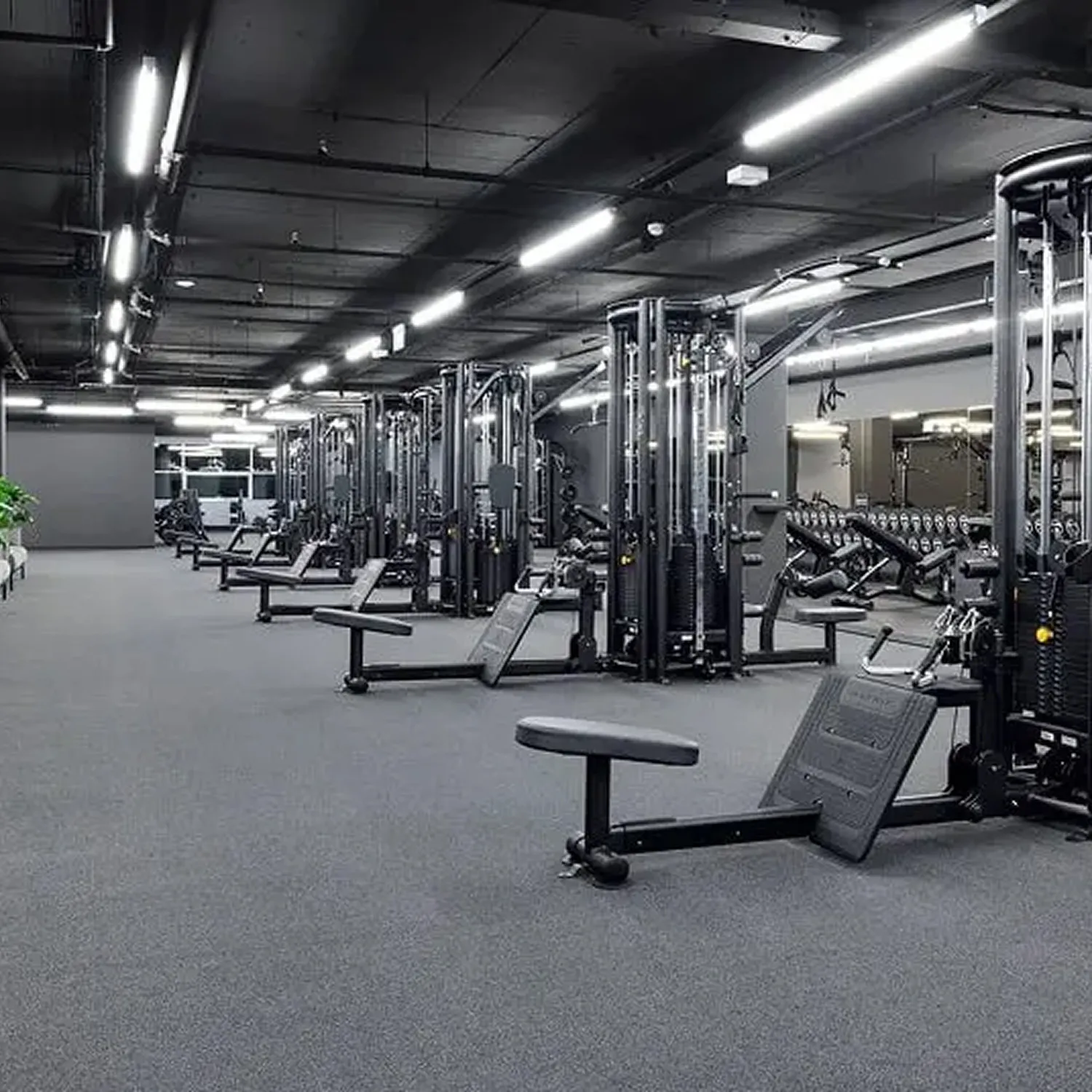 Posilovna se stroji v Max Fitness Plzeň