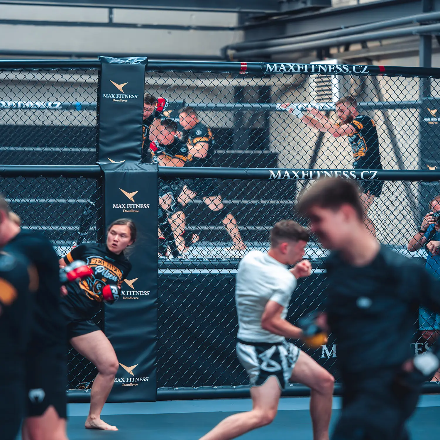 Trénink u klece v MMA gymu v Plzni