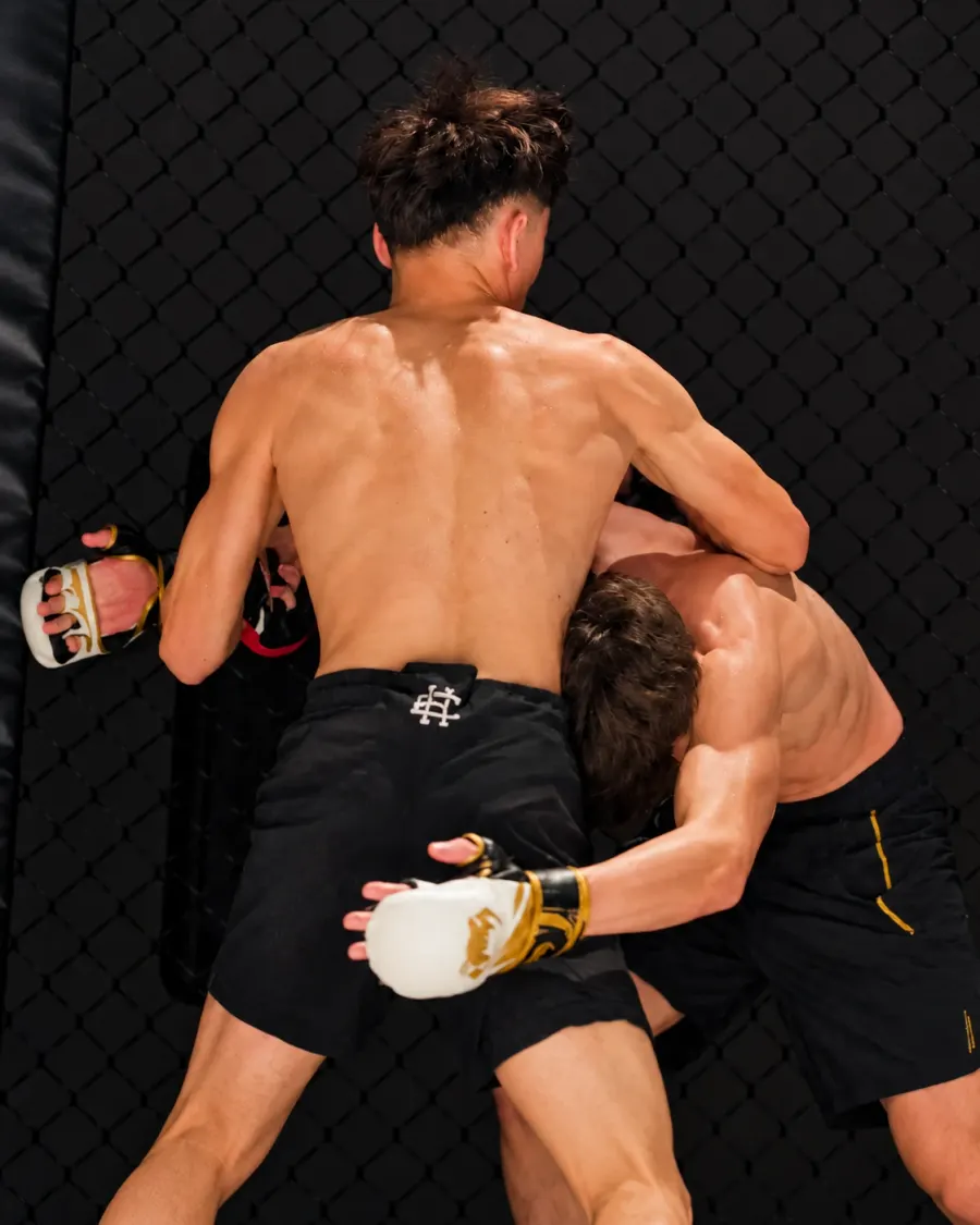 Under the Lights – klinč u pletiva klece
